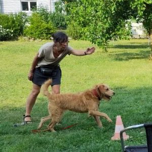 Ersatzjagd: Los gehts