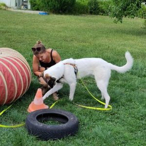 Ersatzjagd: Hund und Frau am Beutel Suchen